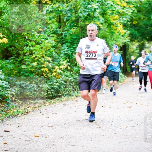 12.10.2025 - Bramfelder Halbmarathon 2025 Dr. Thomas Lammeyer http://msf.ph/oto/9342515 12.10.2025 09:55:13 Laufen 2773, 2463, 2623, 2611, 2540 meine-sportfotos.de