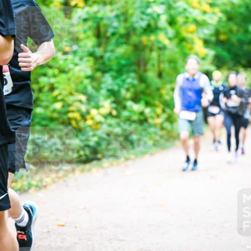 12.10.2025 - Bramfelder Halbmarathon 2025 Dr. Thomas Lammeyer http://msf.ph/oto/9342657 12.10.2025 09:55:36 Laufen 80, 69, 70 meine-sportfotos.de