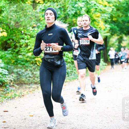 12.10.2025 - Bramfelder Halbmarathon 2025 Dr. Thomas Lammeyer http://msf.ph/oto/9342675 12.10.2025 09:55:39 Laufen 271, 25, 2570 meine-sportfotos.de