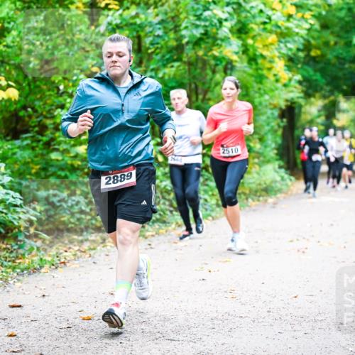 12.10.2025 - Bramfelder Halbmarathon 2025 Dr. Thomas Lammeyer http://msf.ph/oto/9342716 12.10.2025 09:55:46 Laufen 2889, 2464, 2510 meine-sportfotos.de