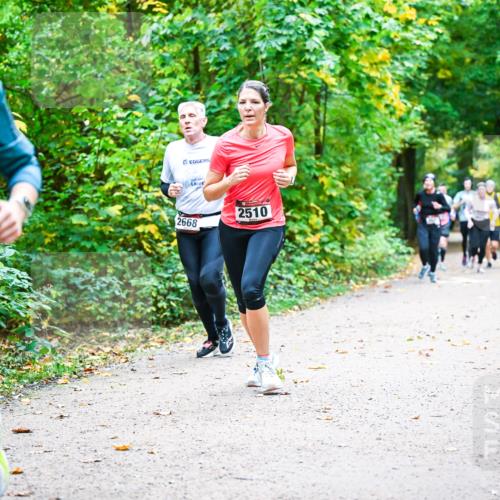 12.10.2025 - Bramfelder Halbmarathon 2025 Dr. Thomas Lammeyer http://msf.ph/oto/9342721 12.10.2025 09:55:47 Laufen 2889, 2668, 2510 meine-sportfotos.de