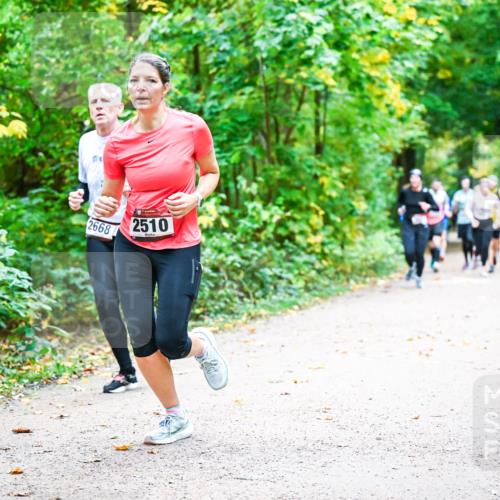 12.10.2025 - Bramfelder Halbmarathon 2025 Dr. Thomas Lammeyer http://msf.ph/oto/9342726 12.10.2025 09:55:48 Laufen 2668, 2510 meine-sportfotos.de