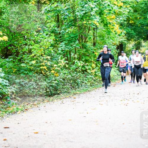 12.10.2025 - Bramfelder Halbmarathon 2025 Dr. Thomas Lammeyer http://msf.ph/oto/9342738 12.10.2025 09:55:50 Laufen 2551, 2586, 2862, 2874 meine-sportfotos.de