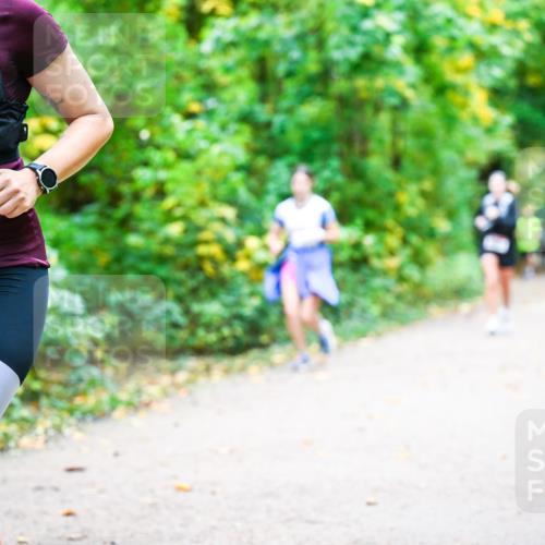 12.10.2025 - Bramfelder Halbmarathon 2025 Dr. Thomas Lammeyer http://msf.ph/oto/9342794 12.10.2025 09:55:59 Laufen 2716 meine-sportfotos.de