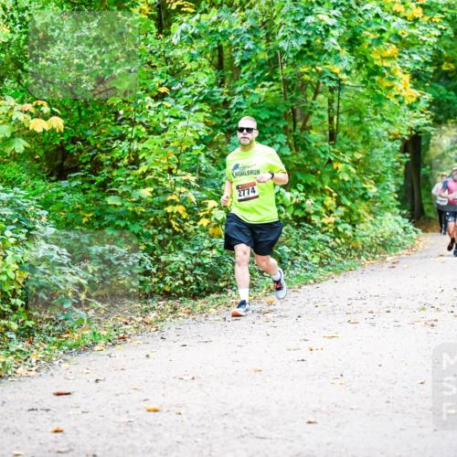 12.10.2025 - Bramfelder Halbmarathon 2025 Dr. Thomas Lammeyer http://msf.ph/oto/9342827 12.10.2025 09:56:10 Laufen 2774 meine-sportfotos.de