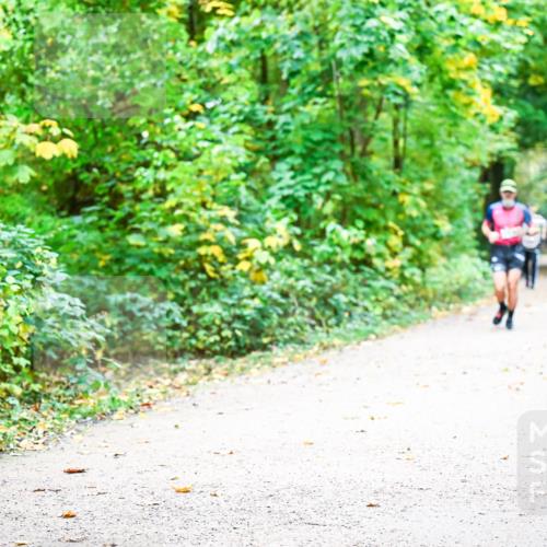 12.10.2025 - Bramfelder Halbmarathon 2025 Dr. Thomas Lammeyer http://msf.ph/oto/9342844 12.10.2025 09:56:12 Laufen 2774 meine-sportfotos.de