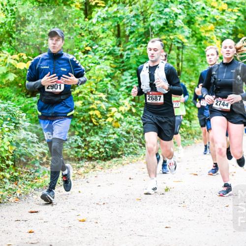 12.10.2025 - Bramfelder Halbmarathon 2025 Dr. Thomas Lammeyer http://msf.ph/oto/9342951 12.10.2025 09:56:42 Laufen 2901, 2687, 2744, 772 meine-sportfotos.de