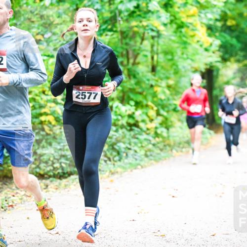 12.10.2025 - Bramfelder Halbmarathon 2025 Dr. Thomas Lammeyer http://msf.ph/oto/9343247 12.10.2025 09:57:53 Laufen 2592, 2577 meine-sportfotos.de