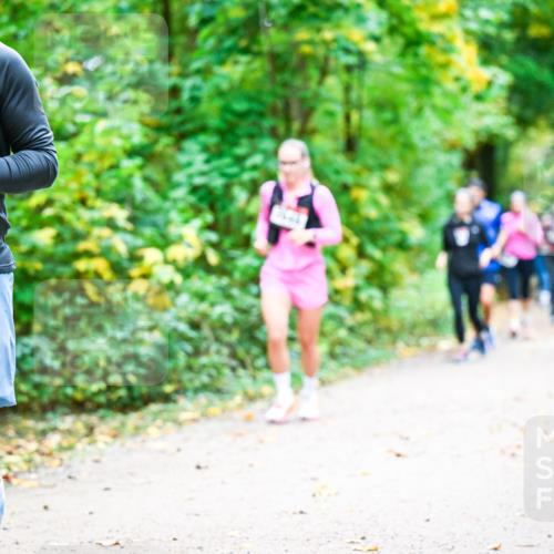 12.10.2025 - Bramfelder Halbmarathon 2025 Dr. Thomas Lammeyer http://msf.ph/oto/9343292 12.10.2025 09:58:01 Laufen 503 meine-sportfotos.de