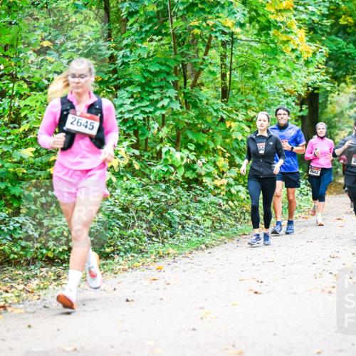 12.10.2025 - Bramfelder Halbmarathon 2025 Dr. Thomas Lammeyer http://msf.ph/oto/9343299 12.10.2025 09:58:02 Laufen 2645, 84, 2650, 2555 meine-sportfotos.de
