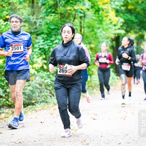 12.10.2025 - Bramfelder Halbmarathon 2025 Dr. Thomas Lammeyer http://msf.ph/oto/9343320 12.10.2025 09:58:06 Laufen 94, 2501, 265, 2555 meine-sportfotos.de