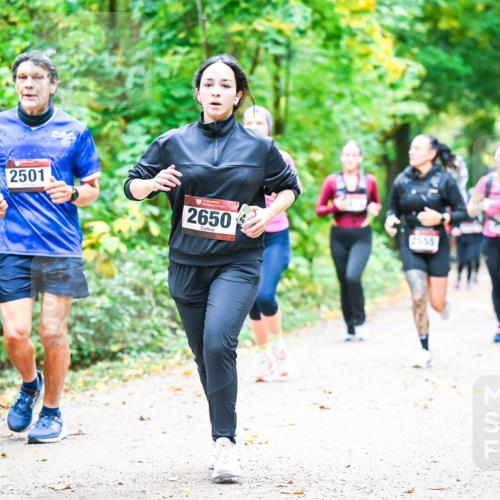 12.10.2025 - Bramfelder Halbmarathon 2025 Dr. Thomas Lammeyer http://msf.ph/oto/9343321 12.10.2025 09:58:06 Laufen 2501, 2650, 2555 meine-sportfotos.de