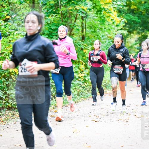 12.10.2025 - Bramfelder Halbmarathon 2025 Dr. Thomas Lammeyer http://msf.ph/oto/9343323 12.10.2025 09:58:07 Laufen 2501, 26, 2873, 2555 meine-sportfotos.de