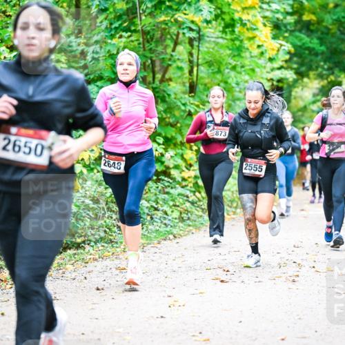12.10.2025 - Bramfelder Halbmarathon 2025 Dr. Thomas Lammeyer http://msf.ph/oto/9343325 12.10.2025 09:58:07 Laufen 1, 2650, 2648, 873, 2555 meine-sportfotos.de