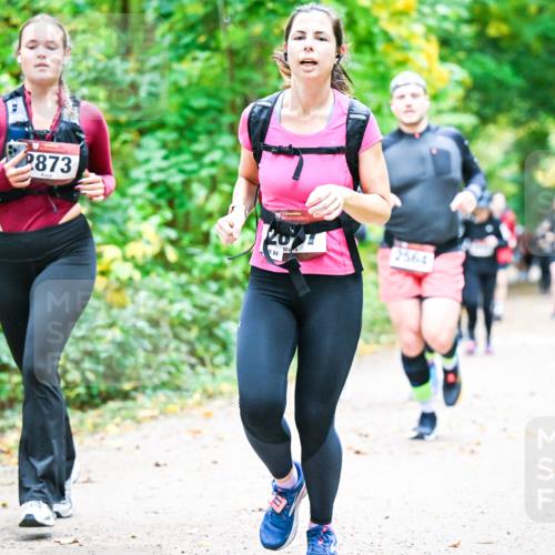 12.10.2025 - Bramfelder Halbmarathon 2025 Dr. Thomas Lammeyer http://msf.ph/oto/9343344 12.10.2025 09:58:10 Laufen 2873, 8, 84, 2564 meine-sportfotos.de