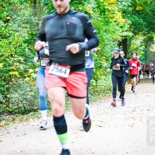 12.10.2025 - Bramfelder Halbmarathon 2025 Dr. Thomas Lammeyer http://msf.ph/oto/9343353 12.10.2025 09:58:12 Laufen 259, 2564, 9, 2866, 2743 meine-sportfotos.de