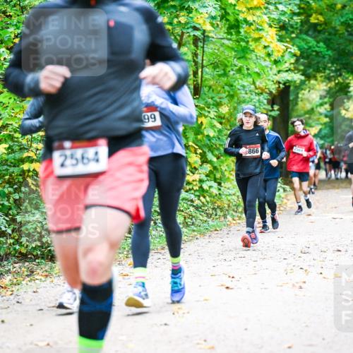 12.10.2025 - Bramfelder Halbmarathon 2025 Dr. Thomas Lammeyer http://msf.ph/oto/9343356 12.10.2025 09:58:12 Laufen 2564, 99, 866, 2569, 2743 meine-sportfotos.de