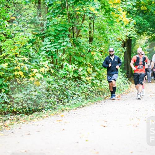 12.10.2025 - Bramfelder Halbmarathon 2025 Dr. Thomas Lammeyer http://msf.ph/oto/9343462 12.10.2025 09:58:30 Laufen 2893, 2603, 2475 meine-sportfotos.de