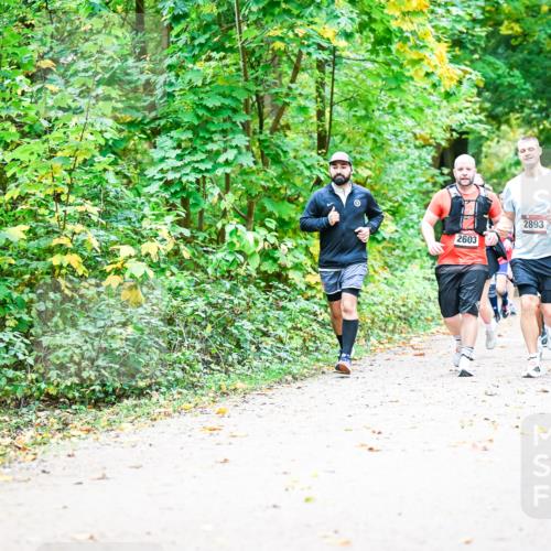 12.10.2025 - Bramfelder Halbmarathon 2025 Dr. Thomas Lammeyer http://msf.ph/oto/9343472 12.10.2025 09:58:31 Laufen 2893, 2603 meine-sportfotos.de