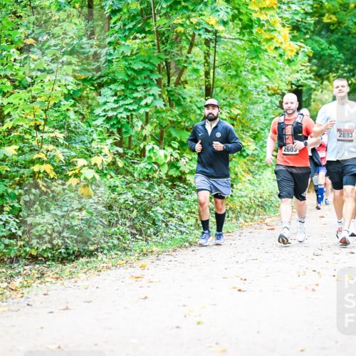 12.10.2025 - Bramfelder Halbmarathon 2025 Dr. Thomas Lammeyer http://msf.ph/oto/9343474 12.10.2025 09:58:32 Laufen 2603, 2893 meine-sportfotos.de