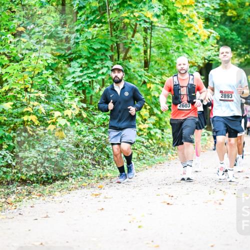 12.10.2025 - Bramfelder Halbmarathon 2025 Dr. Thomas Lammeyer http://msf.ph/oto/9343480 12.10.2025 09:58:32 Laufen 2603, 2893 meine-sportfotos.de