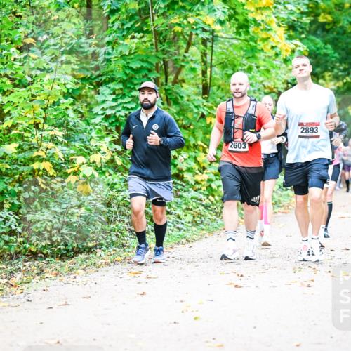12.10.2025 - Bramfelder Halbmarathon 2025 Dr. Thomas Lammeyer http://msf.ph/oto/9343483 12.10.2025 09:58:33 Laufen 2603, 2893 meine-sportfotos.de