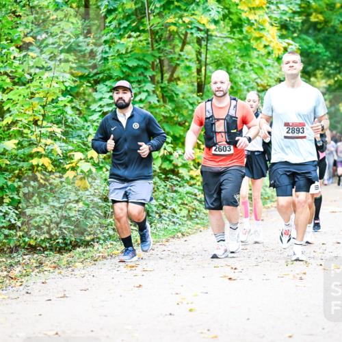 12.10.2025 - Bramfelder Halbmarathon 2025 Dr. Thomas Lammeyer http://msf.ph/oto/9343485 12.10.2025 09:58:33 Laufen 2603, 2893, 2015 meine-sportfotos.de