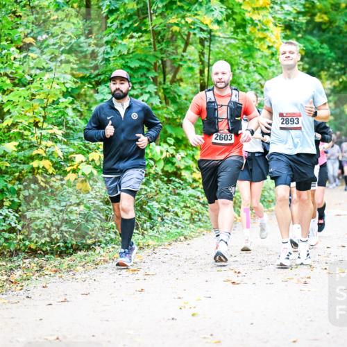12.10.2025 - Bramfelder Halbmarathon 2025 Dr. Thomas Lammeyer http://msf.ph/oto/9343486 12.10.2025 09:58:33 Laufen 2603, 2893 meine-sportfotos.de