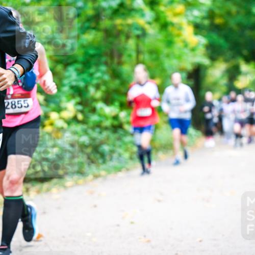 12.10.2025 - Bramfelder Halbmarathon 2025 Dr. Thomas Lammeyer http://msf.ph/oto/9343503 12.10.2025 09:58:37 Laufen 34, 2732, 2855 meine-sportfotos.de