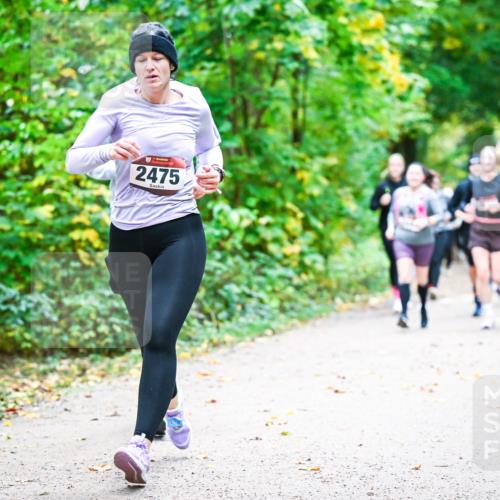 12.10.2025 - Bramfelder Halbmarathon 2025 Dr. Thomas Lammeyer http://msf.ph/oto/9343521 12.10.2025 09:58:42 Laufen 2475 meine-sportfotos.de