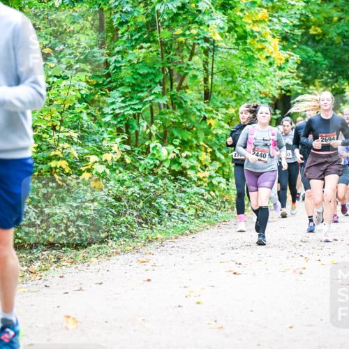12.10.2025 - Bramfelder Halbmarathon 2025 Dr. Thomas Lammeyer http://msf.ph/oto/9343528 12.10.2025 09:58:43 Laufen 6789, 27, 2440, 2694, 2816 meine-sportfotos.de