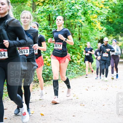 12.10.2025 - Bramfelder Halbmarathon 2025 Dr. Thomas Lammeyer http://msf.ph/oto/9343593 12.10.2025 09:58:55 Laufen 2613, 27, 2804, 2617, 2767, 2688 meine-sportfotos.de