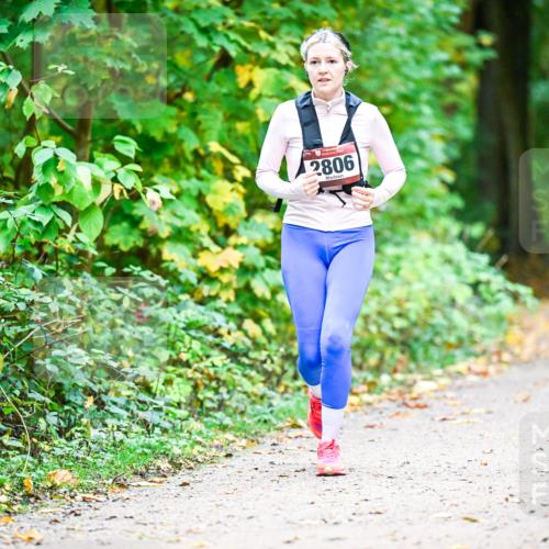 12.10.2025 - Bramfelder Halbmarathon 2025 Dr. Thomas Lammeyer http://msf.ph/oto/9343745 12.10.2025 09:59:42 Laufen 2806 meine-sportfotos.de