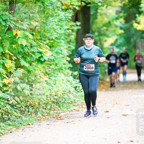 12.10.2025 - Bramfelder Halbmarathon 2025 Dr. Thomas Lammeyer http://msf.ph/oto/9343758 12.10.2025 10:00:11 Laufen 2868 meine-sportfotos.de