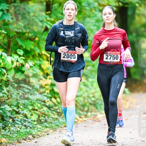 12.10.2025 - Bramfelder Halbmarathon 2025 Dr. Thomas Lammeyer http://msf.ph/oto/9343826 12.10.2025 10:00:31 Laufen 2809, 2750 meine-sportfotos.de