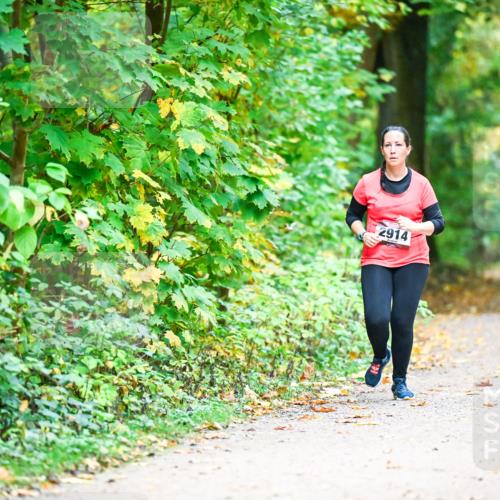 12.10.2025 - Bramfelder Halbmarathon 2025 Dr. Thomas Lammeyer http://msf.ph/oto/9343848 12.10.2025 10:00:59 Laufen 2914 meine-sportfotos.de