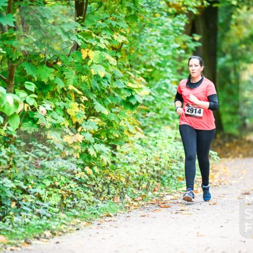 12.10.2025 - Bramfelder Halbmarathon 2025 Dr. Thomas Lammeyer http://msf.ph/oto/9343849 12.10.2025 10:01:00 Laufen 2914 meine-sportfotos.de