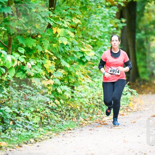12.10.2025 - Bramfelder Halbmarathon 2025 Dr. Thomas Lammeyer http://msf.ph/oto/9343852 12.10.2025 10:01:00 Laufen 2914 meine-sportfotos.de