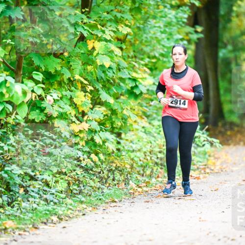 12.10.2025 - Bramfelder Halbmarathon 2025 Dr. Thomas Lammeyer http://msf.ph/oto/9343853 12.10.2025 10:01:00 Laufen 2914 meine-sportfotos.de