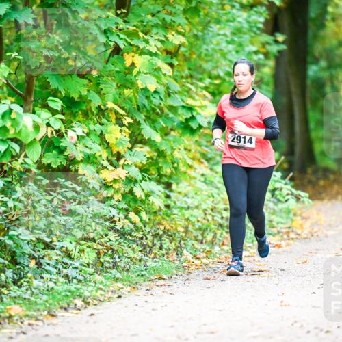 12.10.2025 - Bramfelder Halbmarathon 2025 Dr. Thomas Lammeyer http://msf.ph/oto/9343854 12.10.2025 10:01:00 Laufen 2914 meine-sportfotos.de