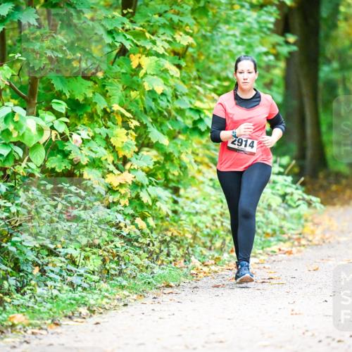 12.10.2025 - Bramfelder Halbmarathon 2025 Dr. Thomas Lammeyer http://msf.ph/oto/9343856 12.10.2025 10:01:01 Laufen 2914 meine-sportfotos.de