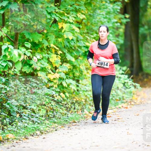 12.10.2025 - Bramfelder Halbmarathon 2025 Dr. Thomas Lammeyer http://msf.ph/oto/9343858 12.10.2025 10:01:01 Laufen 2914 meine-sportfotos.de