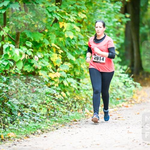 12.10.2025 - Bramfelder Halbmarathon 2025 Dr. Thomas Lammeyer http://msf.ph/oto/9343859 12.10.2025 10:01:01 Laufen 2914 meine-sportfotos.de