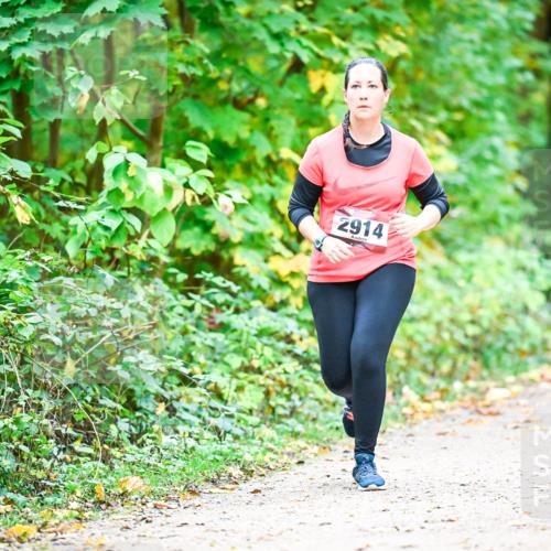 12.10.2025 - Bramfelder Halbmarathon 2025 Dr. Thomas Lammeyer http://msf.ph/oto/9343868 12.10.2025 10:01:02 Laufen 2914 meine-sportfotos.de