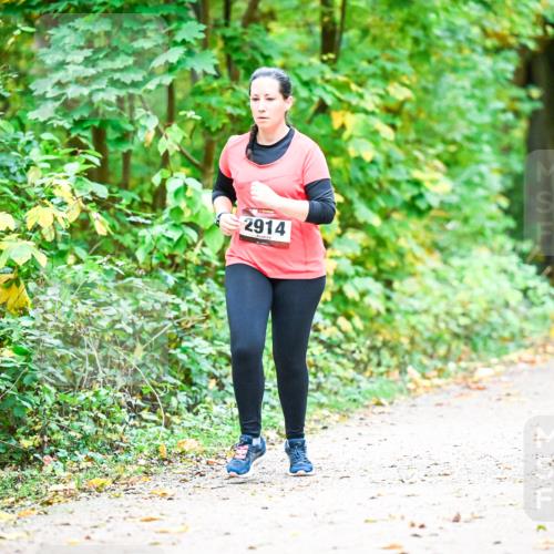 12.10.2025 - Bramfelder Halbmarathon 2025 Dr. Thomas Lammeyer http://msf.ph/oto/9343872 12.10.2025 10:01:03 Laufen 2914 meine-sportfotos.de