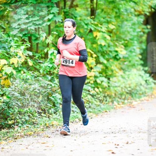 12.10.2025 - Bramfelder Halbmarathon 2025 Dr. Thomas Lammeyer http://msf.ph/oto/9343873 12.10.2025 10:01:03 Laufen 2914 meine-sportfotos.de