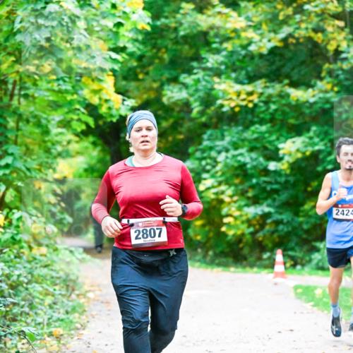 12.10.2025 - Bramfelder Halbmarathon 2025 Dr. Thomas Lammeyer http://msf.ph/oto/9344124 12.10.2025 10:04:34 Laufen 2807, 2424 meine-sportfotos.de