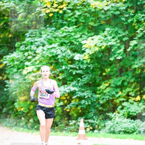 12.10.2025 - Bramfelder Halbmarathon 2025 Dr. Thomas Lammeyer http://msf.ph/oto/9344162 12.10.2025 10:05:42 Laufen 2641 meine-sportfotos.de
