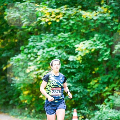 12.10.2025 - Bramfelder Halbmarathon 2025 Dr. Thomas Lammeyer http://msf.ph/oto/9344199 12.10.2025 10:06:31 Laufen 2876, 844 meine-sportfotos.de