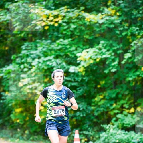 12.10.2025 - Bramfelder Halbmarathon 2025 Dr. Thomas Lammeyer http://msf.ph/oto/9344200 12.10.2025 10:06:31 Laufen 2876 meine-sportfotos.de